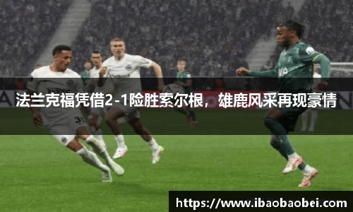 3377体育官网