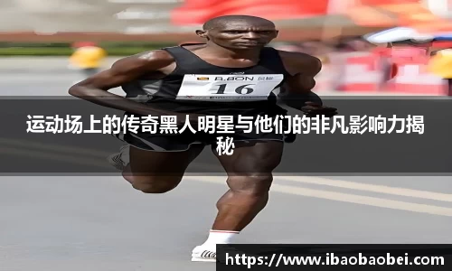 3377体育